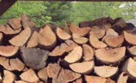 wood