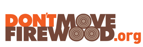 DMF logo