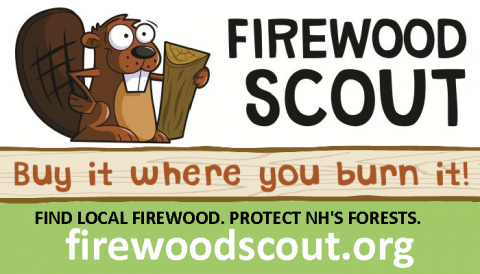 Firewood Scout
