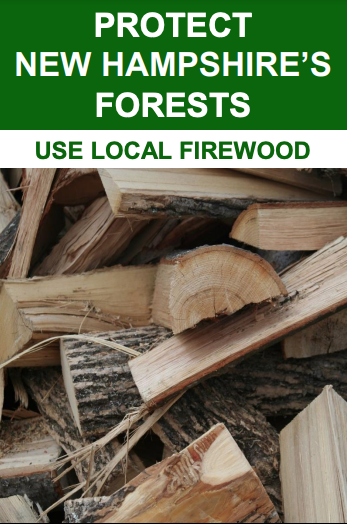Use local firewood
