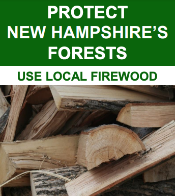 Use Local Firewood
