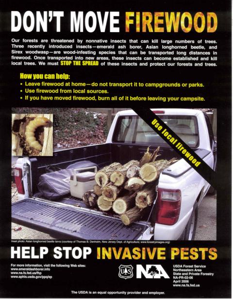 Don't Move Firewood Poster