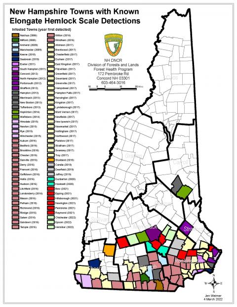 elongate hemlock scale detection map