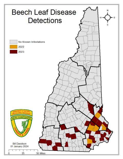 NH towns reporting beech leaf disease for 2022 and 2023