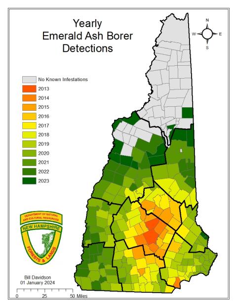 emerald ash borer detection heat map 2024