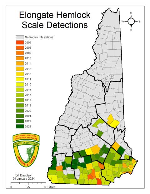elongate hemlock scale detections heat map 2023