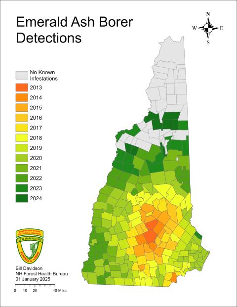 emerald ash borer detection heat map 2024
