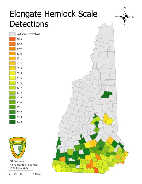 elongate hemlock scale detections heat map 2024