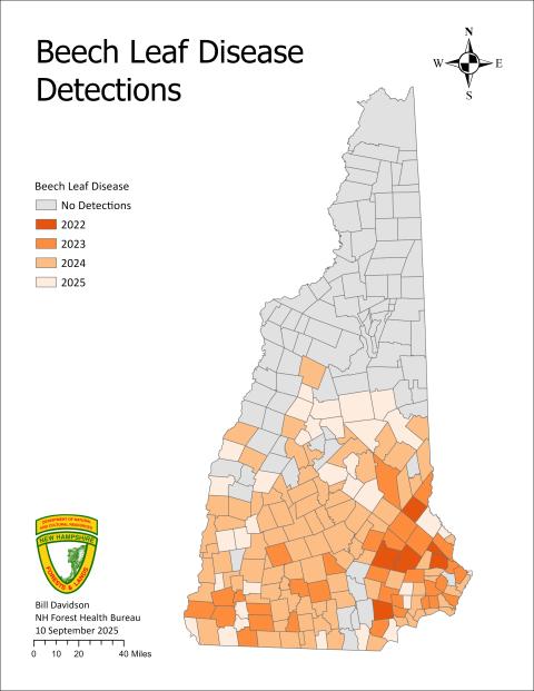 Map of towns where beech leaf disease has been found